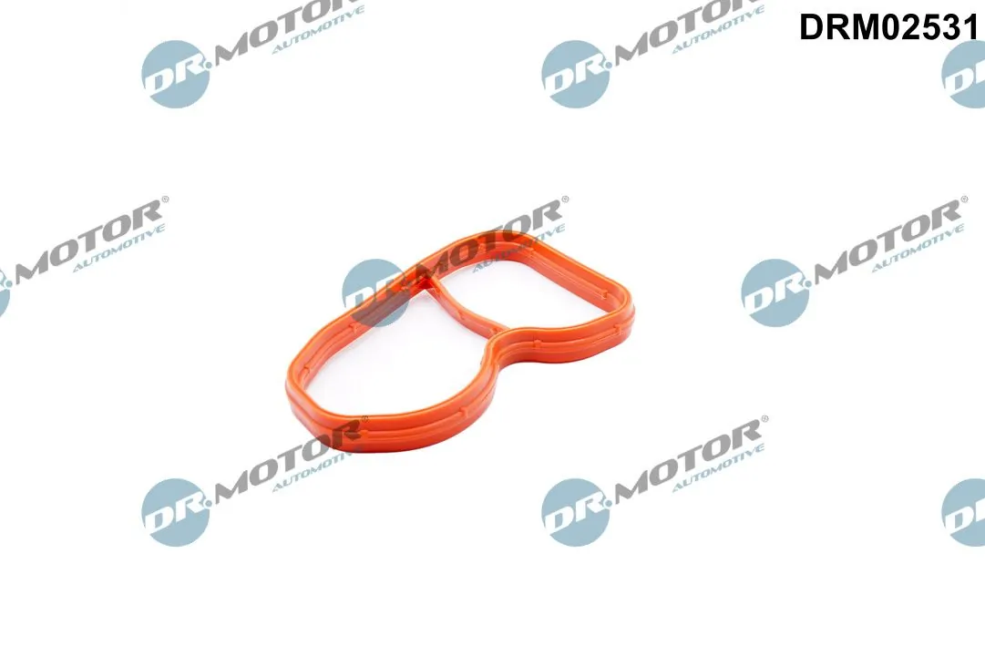 Gasket, intake manifold
